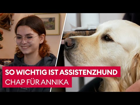 A touching scene with a happy ending! 🐶 | The Dog Whisperer | Autism
