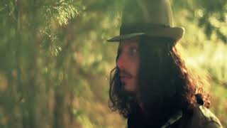 Willie Nelson  - The Scientist (Unofficial Video)