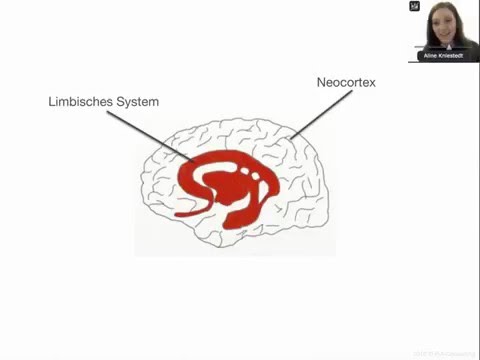 Konfliktmanagement - Umgang mit Emotionen