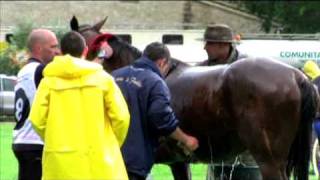 What is Endurance (Trailer) - Unbreakable - Celesty