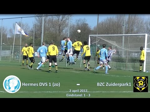 Samenvatting Hermes DVS 1 (zo) -  BZC Zuiderpark 1