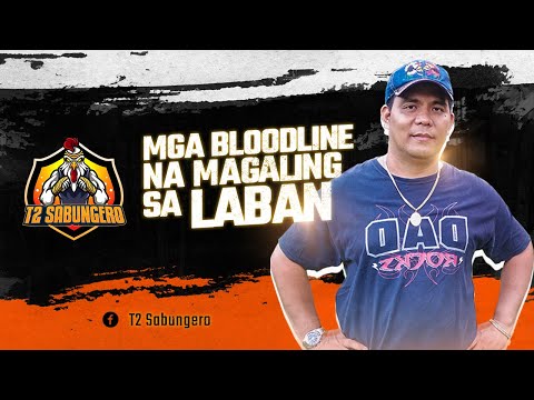 MGA BLOODLINE NA MAGALING SA LABAN     |       T2SABUNGERO