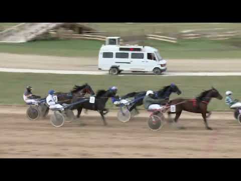 2022.04.09. 05. futam - MIKI DÍJ