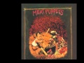 Meat Puppets - I Got a Right - Stooges Cover
