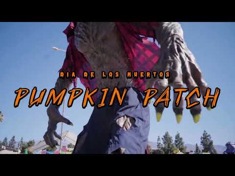 Patch Banning Ca