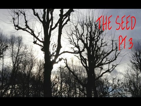 SWEET PROGRESSION! AMNESIA CUSTOM STORYtime THE SEED pt 3