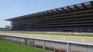 preview picture of video '(4K)東京競馬場 - Tokyo Racecourse'