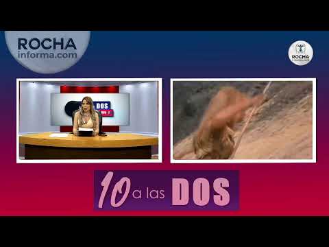 10 a las DOS, el noticiero más veloz del planeta!