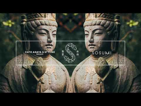 Cato Anaya & Styline - Bailalo