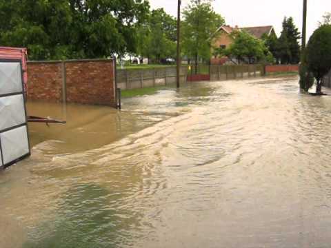 Доњи Петровци 17/5/2014