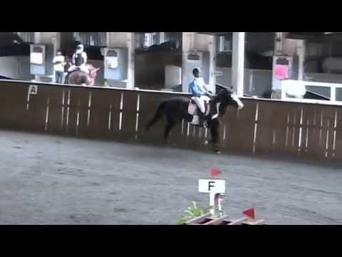 MOV002.MOD Roy Ibrahim on Flash Top Hat National Showjumping Championships 16 June 2012