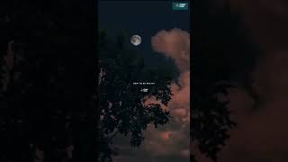 Download lagu Story Wa 30 Detik Terbaru -- A Thousand Years 🎵 -- Story Wa Kekinian Terbaru #shorts mp3
