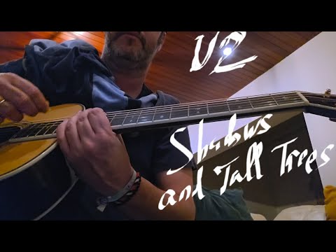 Shadows and tall trees - U2