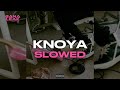tana - KNOYA (Slowed)