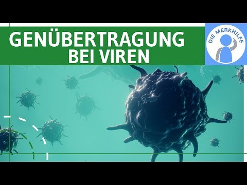 Gene transfer in viruses simply explained - Recombination + General & special transduction