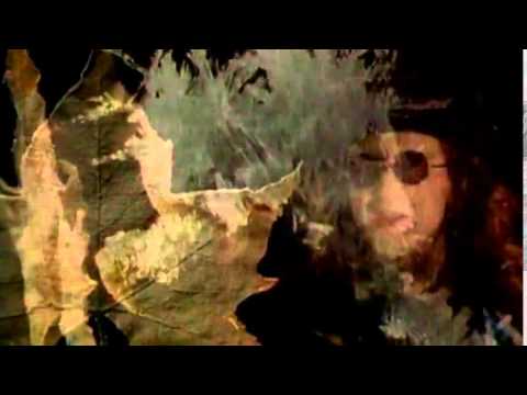 THE MISSION UK - Butterfly On A Wheel [Official Video] HQ