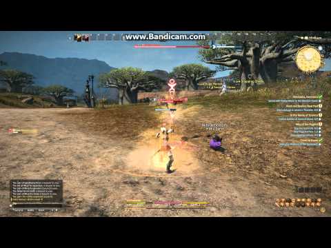 FFXIV Online - Pugilist (Monk)