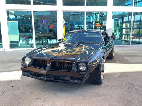 1976 Pontiac Firebird Trans Am (CC-1685505) for sale in Palmetto, Florida