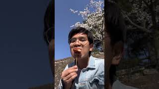 Download lagu Apa itu Hanami? Musim Semi Jepang 🇯🇵🌸 mp3