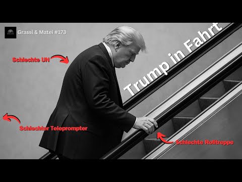The Great Trump Show - UN Rebuked, Ukraine Praised - Grassl & Matei #173