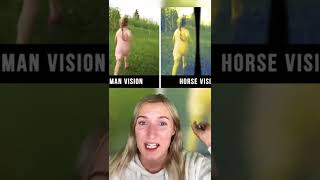 HOW ANIMALS SEE THE WORLD WITH THEIR EYES 👀