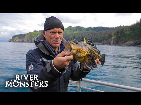 Jeremy Wade's UNEXPECTED and ACCIDENTAL Catches (Part 2) | River Monsters