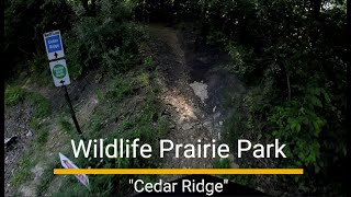 A smooth run of "Cedar Ridge"