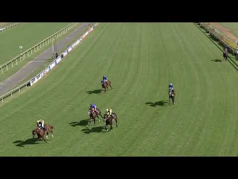 Mk's Pride 4th Win 18th Feb VAAL RACE6