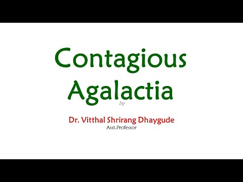 Contagious Agalactia by Dr.Vitthal Shrirang Dhaygude  #Sheepfarming #Goatfarming #Sathyazerograzing
