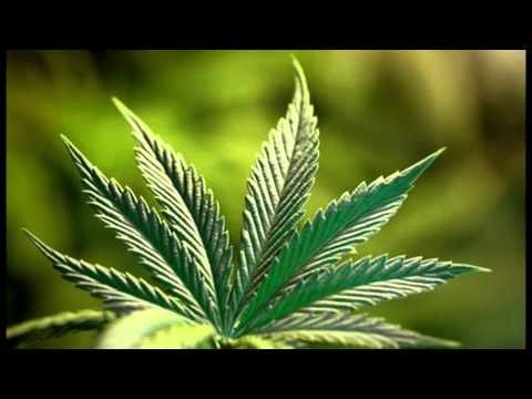 Shu feat. SKOR - Masz haluny