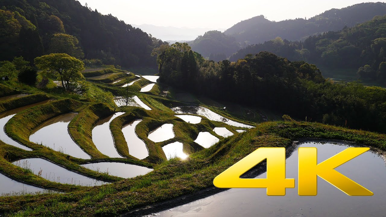 Chiba Hiratsuka terraced rice field
