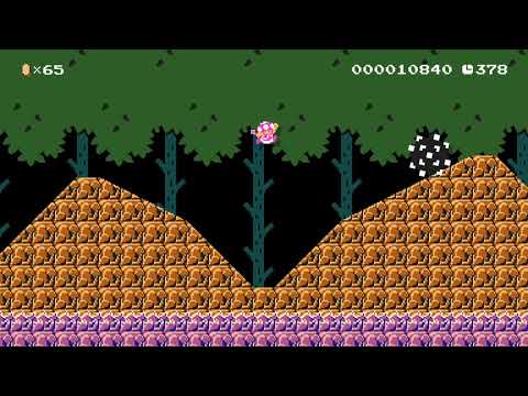 Forest of Courage by Ralphus - Super Mario Maker 2 - No Commentary 1bz