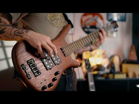 Why I Used to HATE Warwick Basses (and Why I Was Wrong)