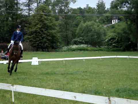 Radka a Sebos- Sasov drezura Z1