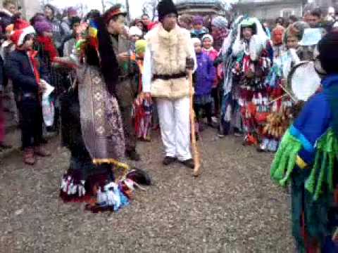 Capra din Totoesti 2013-2014