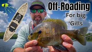 This Tiny Hidden Lake Is LOADED With Big Bluegills! (Kayak Adventure!)