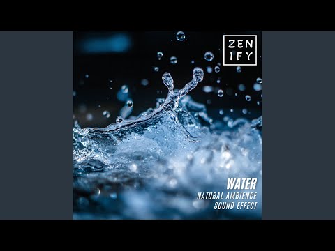 Water in the Forest Pt. 2