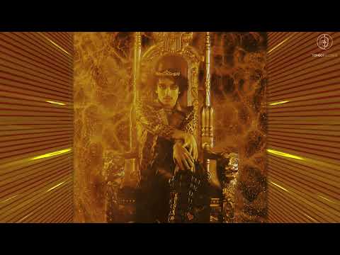 LION - NOT YOUR FETISH (RUFFLOADERZ REMIX) VISUALIZER