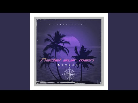 Nadel auf mein Kompass