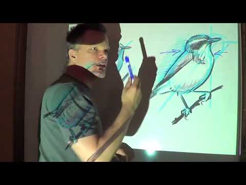 The New Bird Drawing System