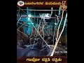 Tumkuru Bajarangdal Gau Rakshne More Than 100 Cattles 5 Vehicles Sized