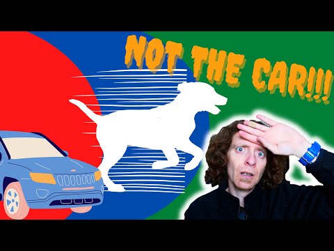 YouTube video about: Do dogs think about cars?