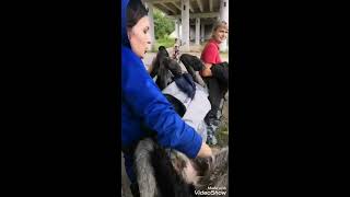 Душа бродяги калуга. Душа бродяги новости. Калуга душа бродяги фото собак. Душа бродяги Калуга адрес. Елена Васильевна Шмелева душа бродяги викепидемия.