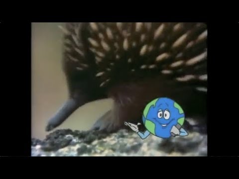 Gwen and Zoey's Adventures of Really Wild Animals Episode 2; Part 5