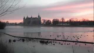 preview picture of video 'Birds at the Schwerin Castle - Schweriner Schloss'