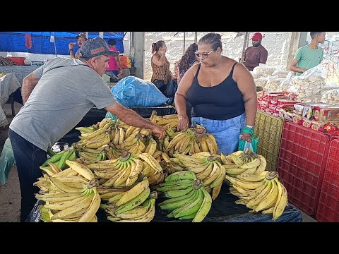 ATUALIZAÇÃO DO CANAL NA FEIRA DE MESSIAS-AL