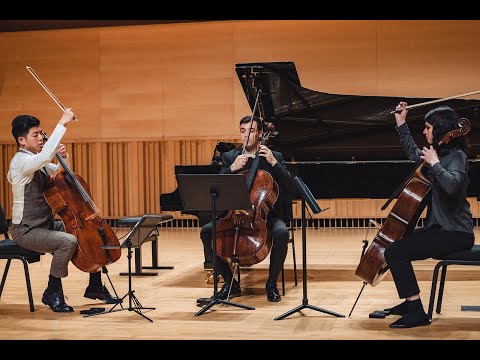 Nan-Cheng Chen/Iona Batchelder/Sam DeCaprio - Pink Panther Theme Cover