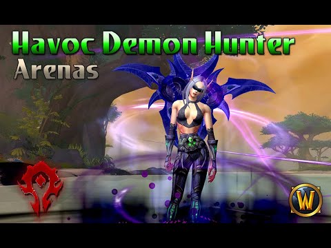 2v2 Arenas Havoc Demon Hunter / Retribution Paladin