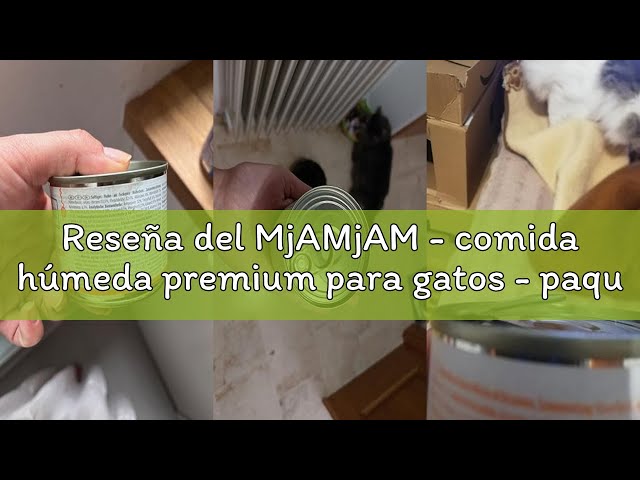 Vídeo relacionado con MjAMjAM - comida húmeda premium para gatos - paquete mixto I - pollo, ternera, corazones, paquete de 6 (6 x 200 g), sin cereales con carne extra
