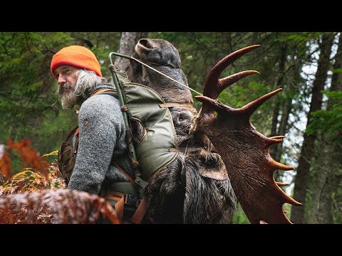 Moose Hunting the North Maine Woods